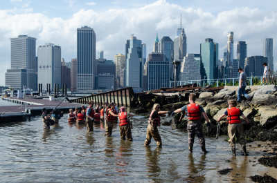 Billion Oyster Project restoring oyster reefs to New York Harbor